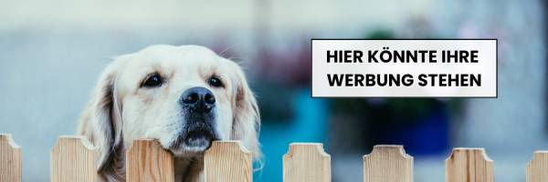 Hier könnte Ihre Werbung stehen!!