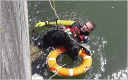 Feuerwehr rettet Hund aus dem Isarkanal