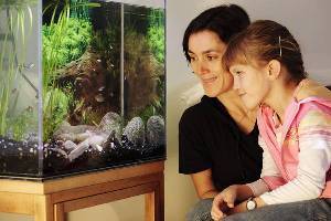 Frau und Mädchen beobachten Fische im Aquarium
