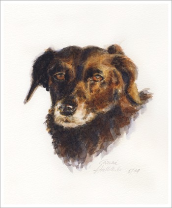 Portrait von Hund Bella