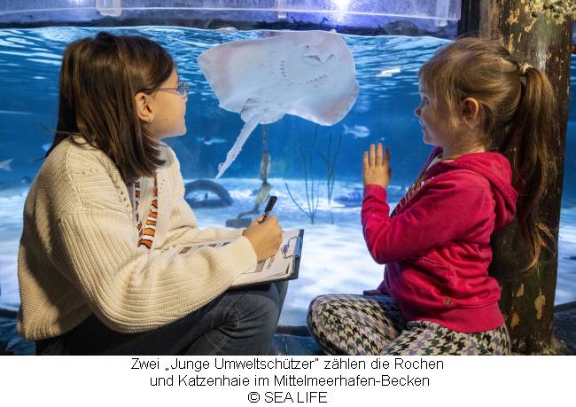 Zwei Mädchen zählen Fische und sehen gerade einen Rochen: Fischinventur 2024 im SEA LIFE München