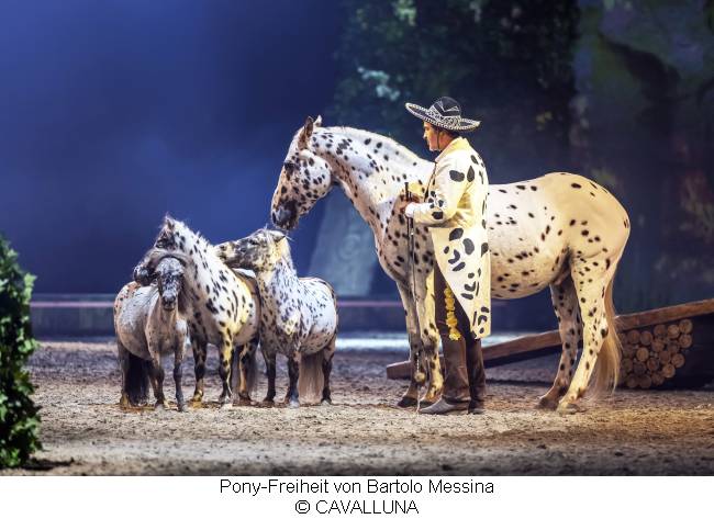CAVALLUNA Geheimnis der Ewigkeit - Pony-Freiheit von Bartolo Messina