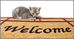 Katze auf einem Welcome-Teppich  