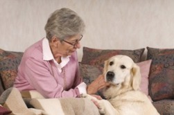 Seniorin mit Therapiehund